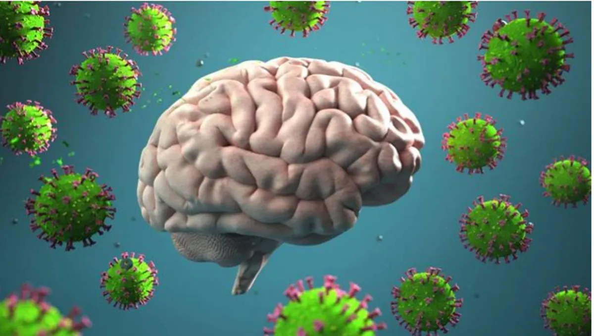  تأثير الإصابة الخفيفة بفيروس كورونا على الدماغ