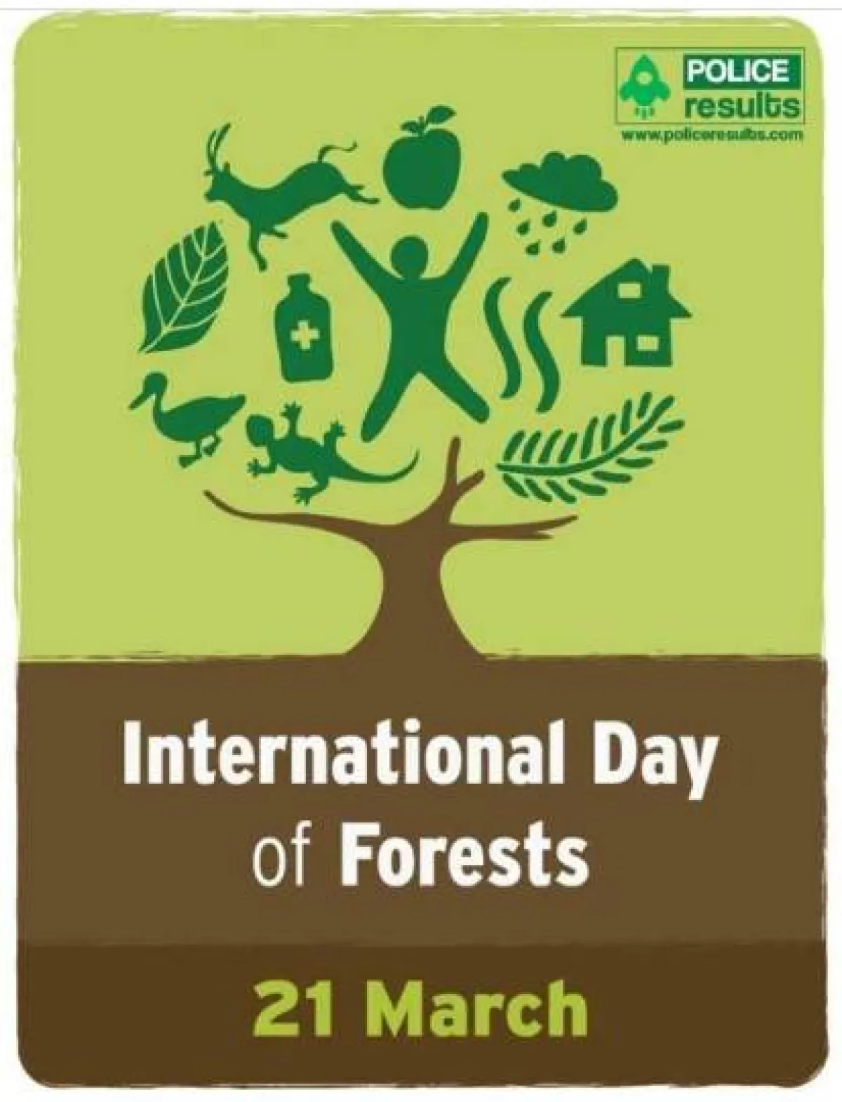 اليوم الدولي للغابات