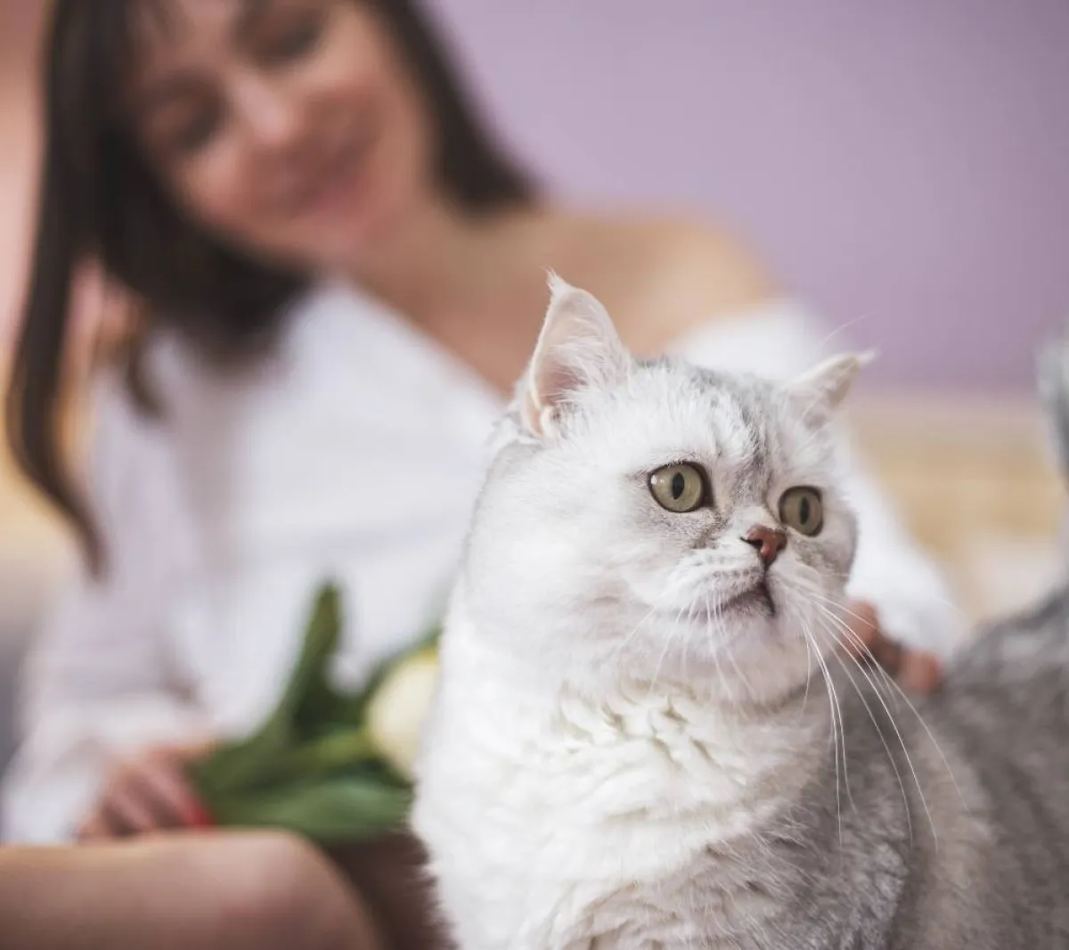 صورة لحامل ولديها قطة في البيت مما يعرضها للخطر