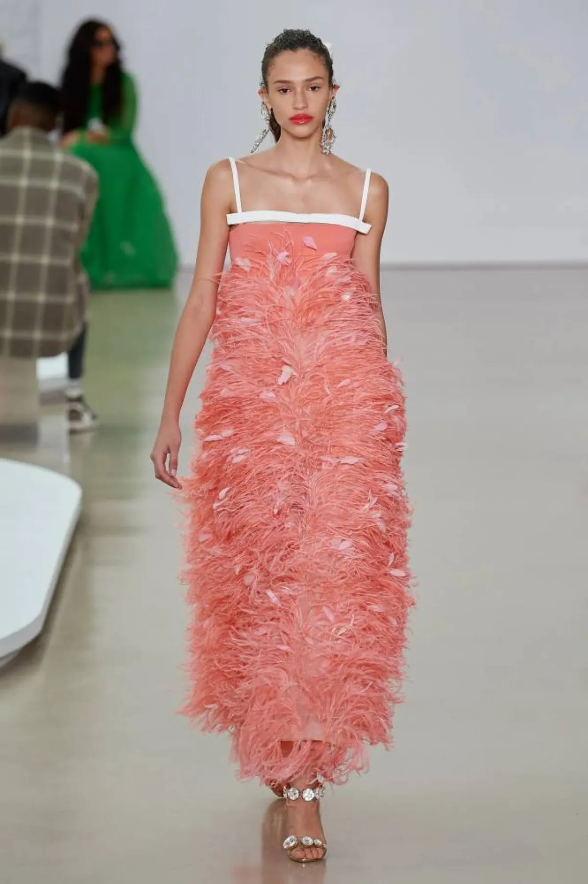 إطلالات الريش