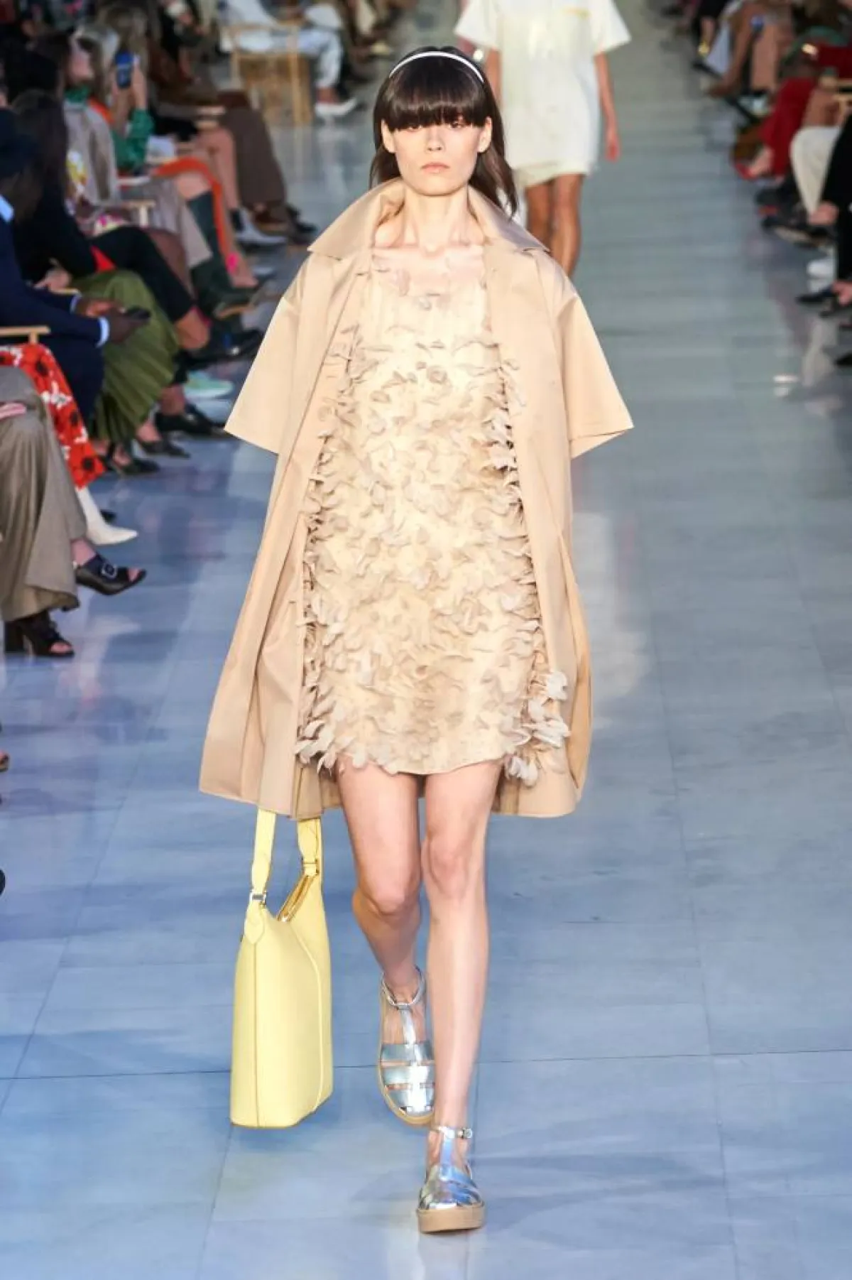 إطلالات الريش