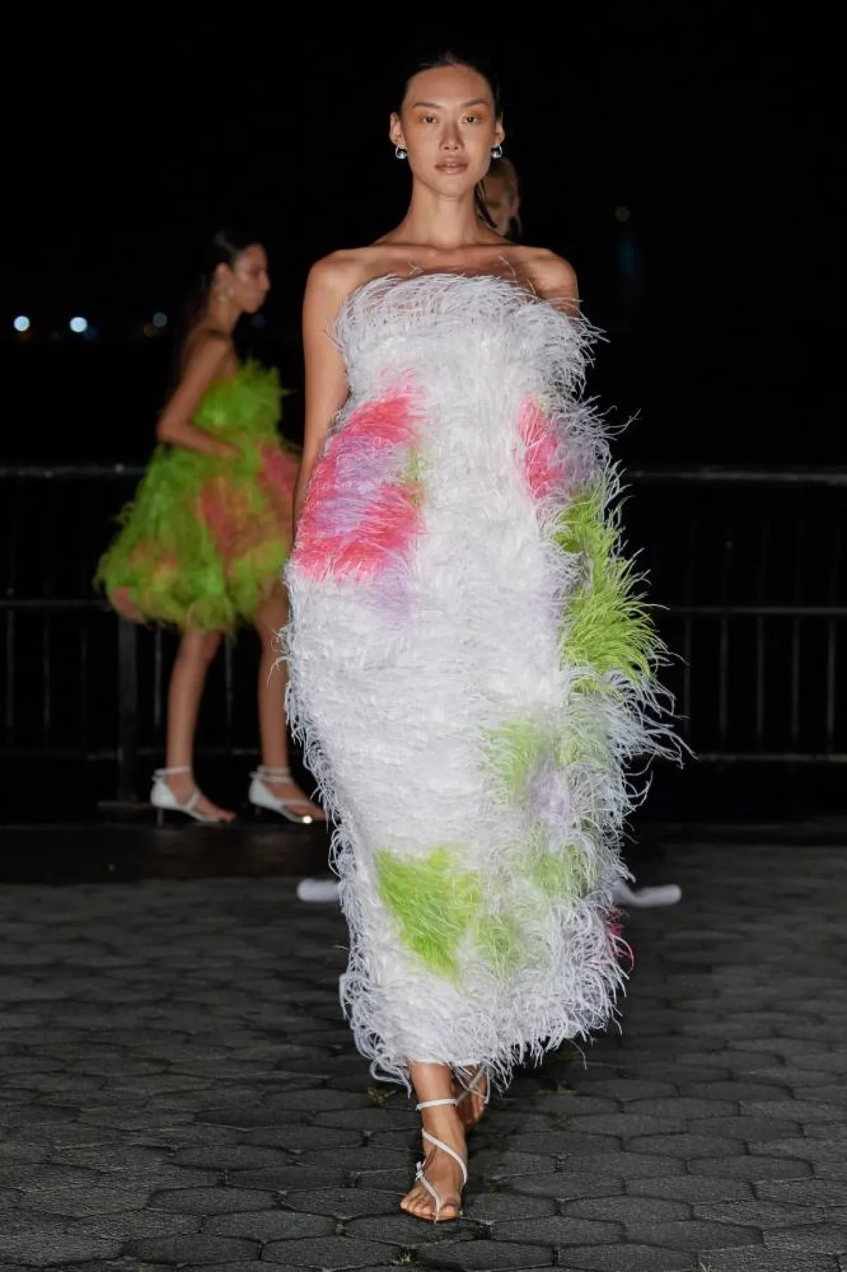 إطلالات الريش