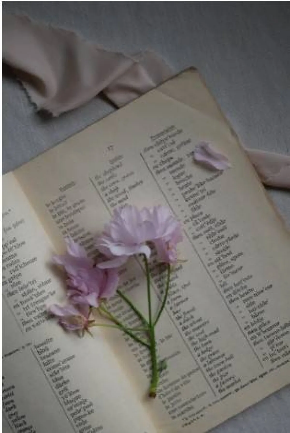 لغات العالم