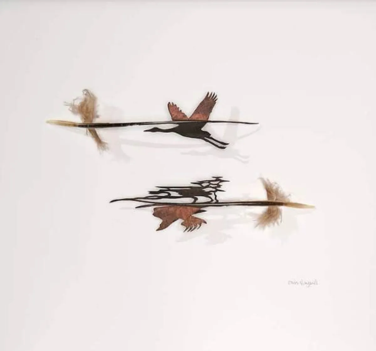 لوحات من ريش الطيور