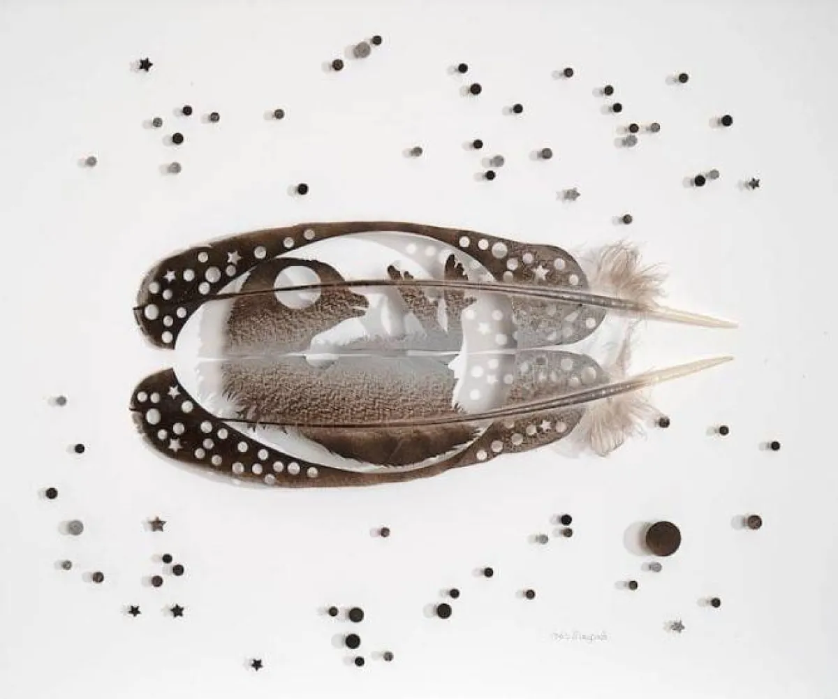 لوحات من ريش الطيور