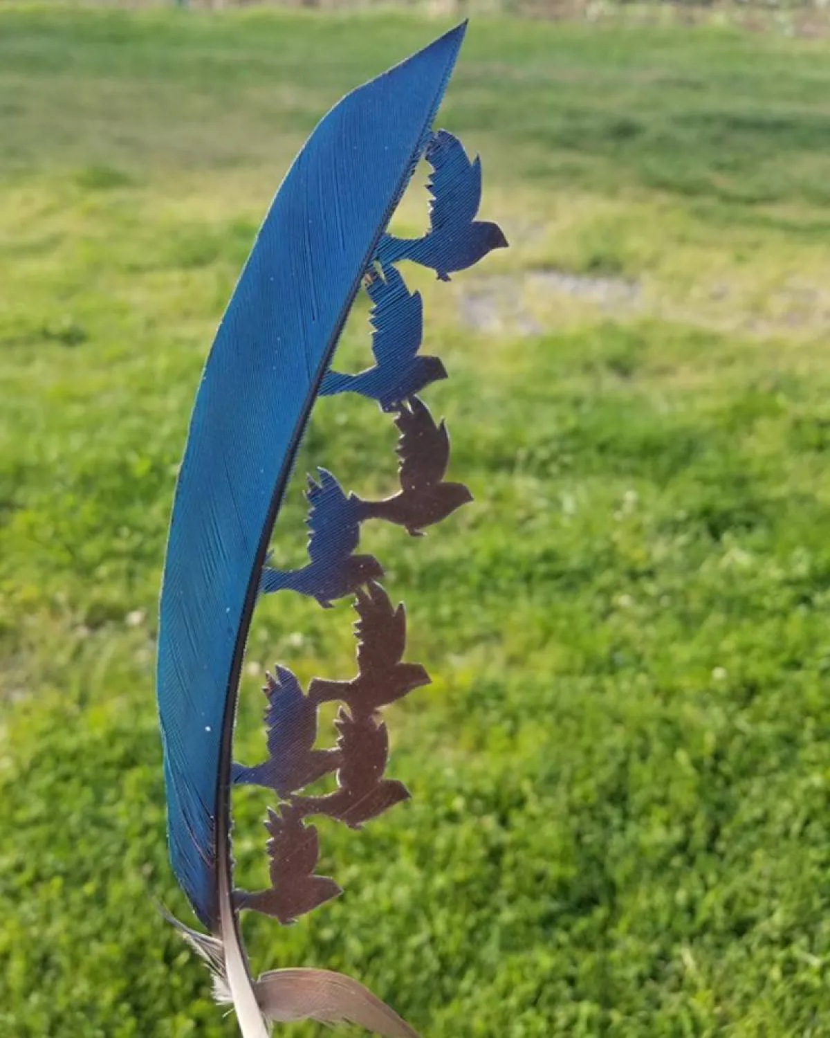 لوحات من ريش الطيور