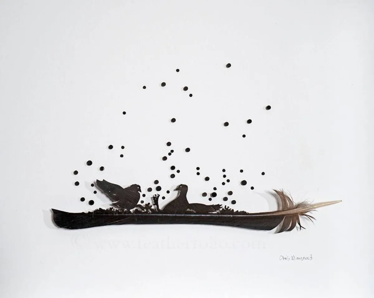 لوحات من ريش الطيور