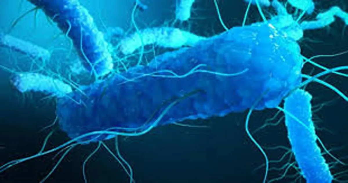 اكتشاف أكبر بكتيريا في العالم تُرى بالعين المجردة