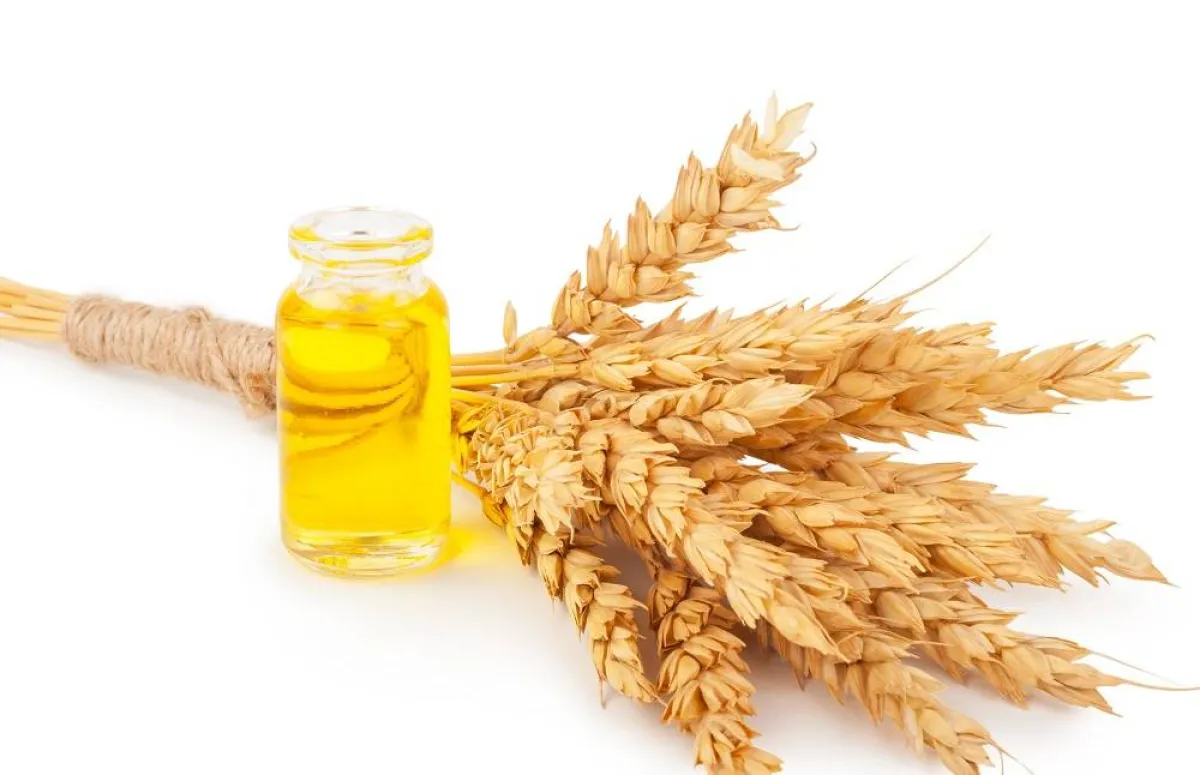 جنين القمح لتفتيح البشرة