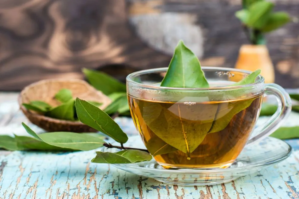 فوائد ورق الغار الصحية، مثالية للجسم