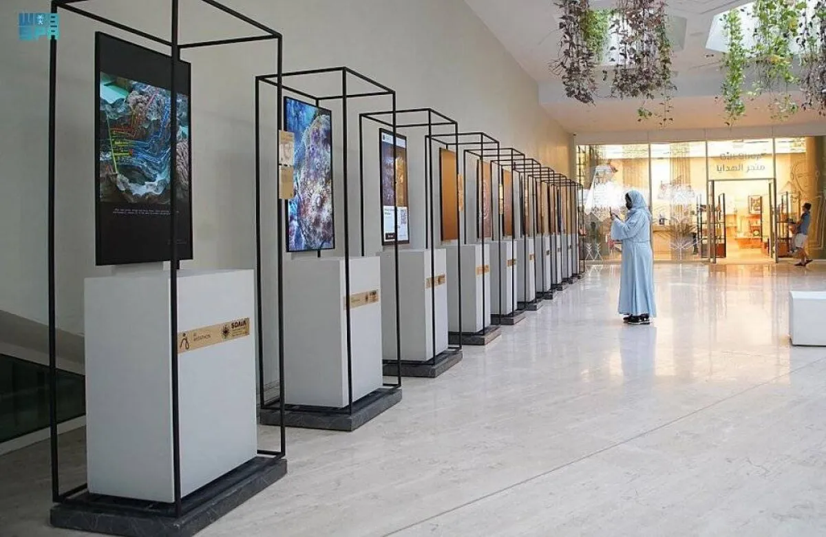 جناح المملكة