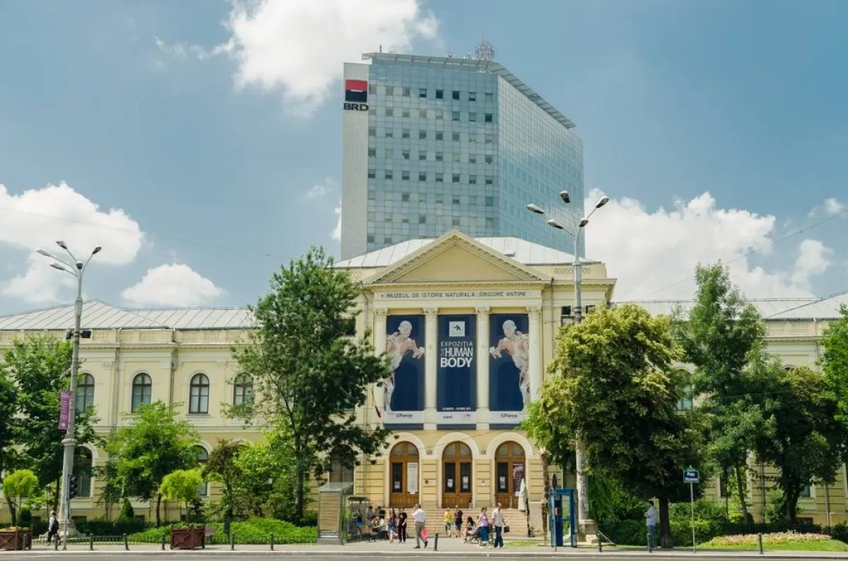 متحف التاريخ الطبيعي جريجور أنتيبا