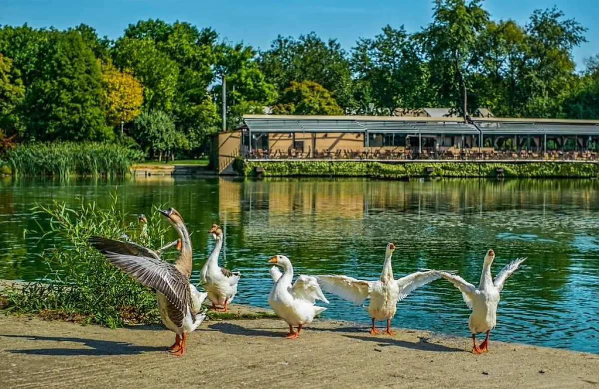 حديقة هيراسترو