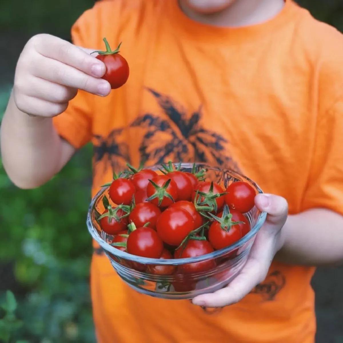 صورة لطفل وطبق طماطم