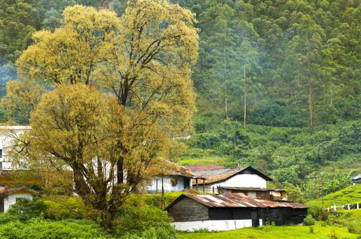 مونار هي مدينة جذابة ومحطة تل شاعرية تقع في غرب غاتس