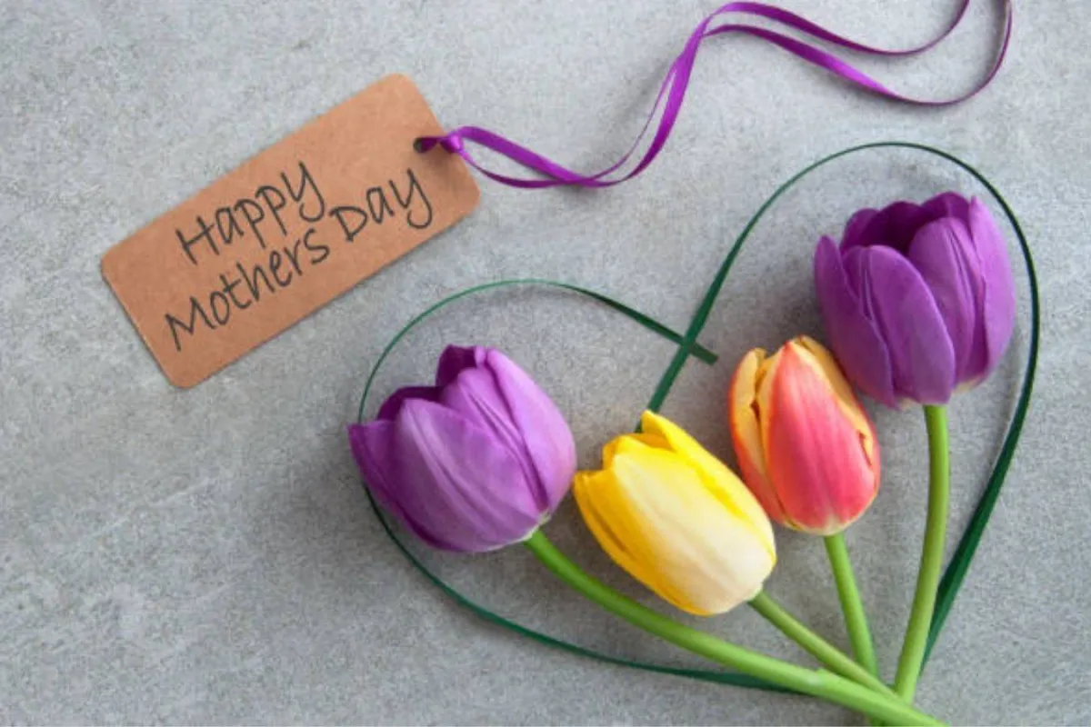 صورة تعبيرية ليوم الأم