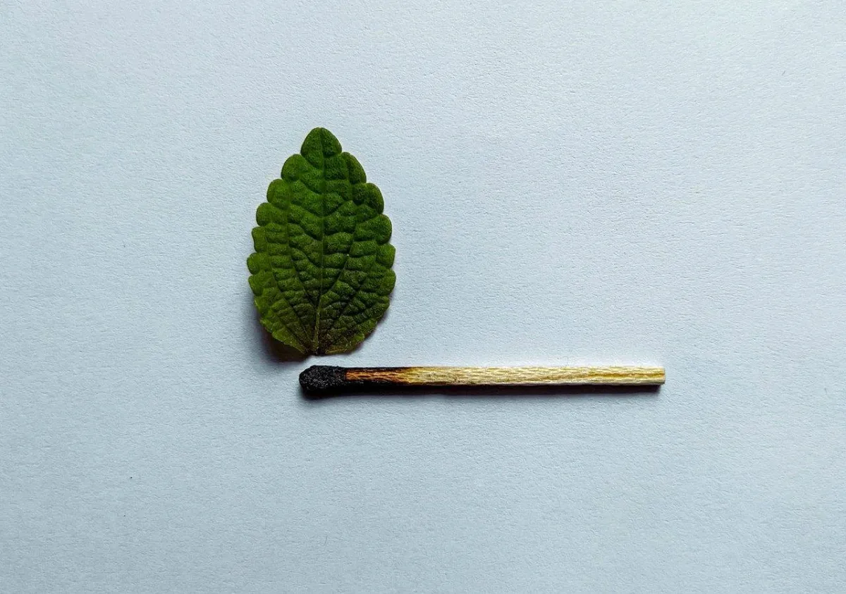 صورة تعبيرية عن النار الضعيفة