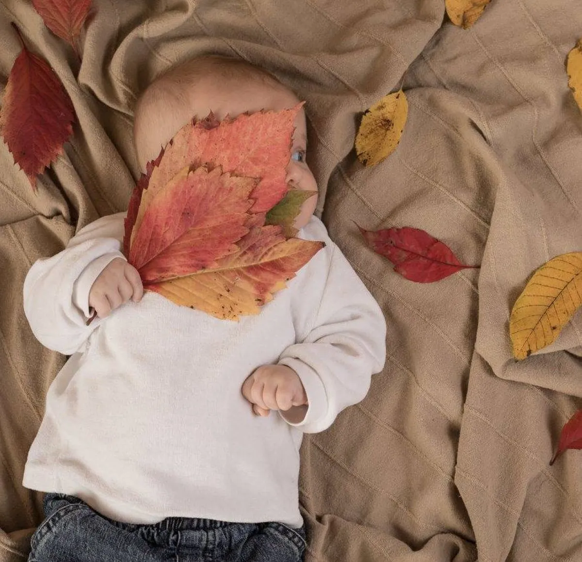 صورة لطفل صبي