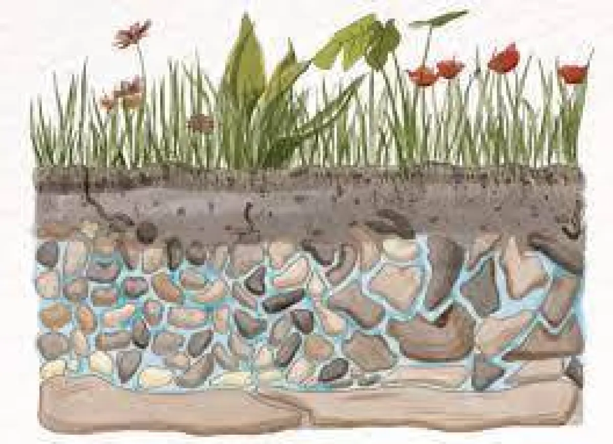 اليوم العالمي للمياه