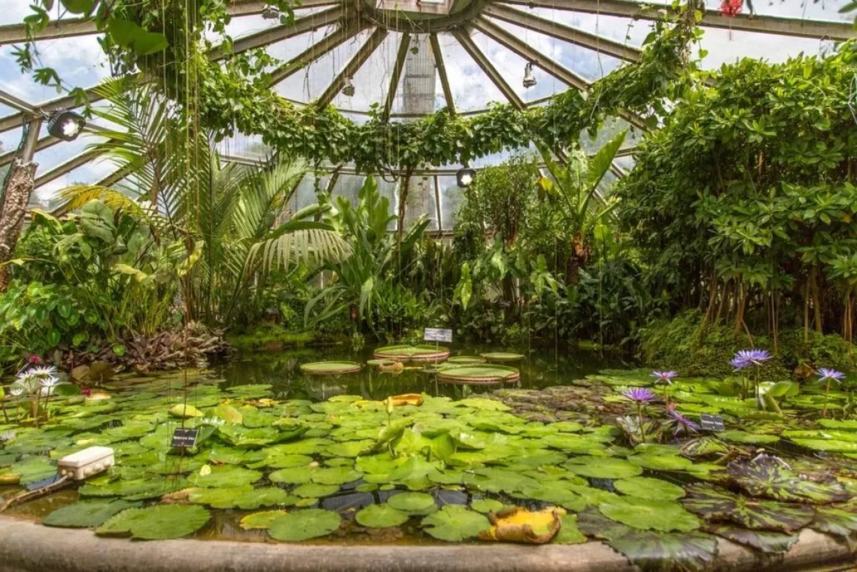 بارك دي لا تيت دي أور