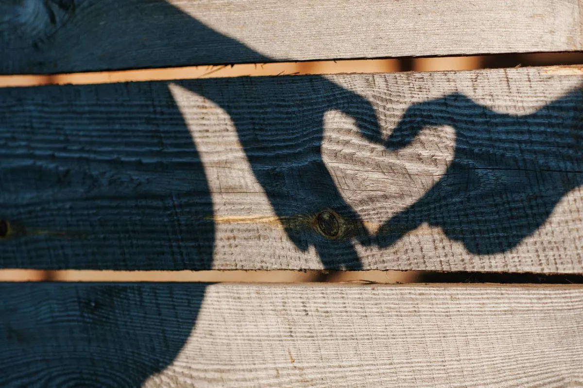 صورة تعبيرية عن مرض القلب