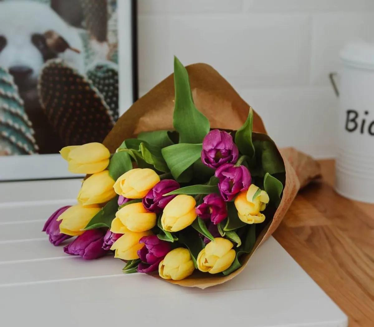 صورة أزهار التوليا