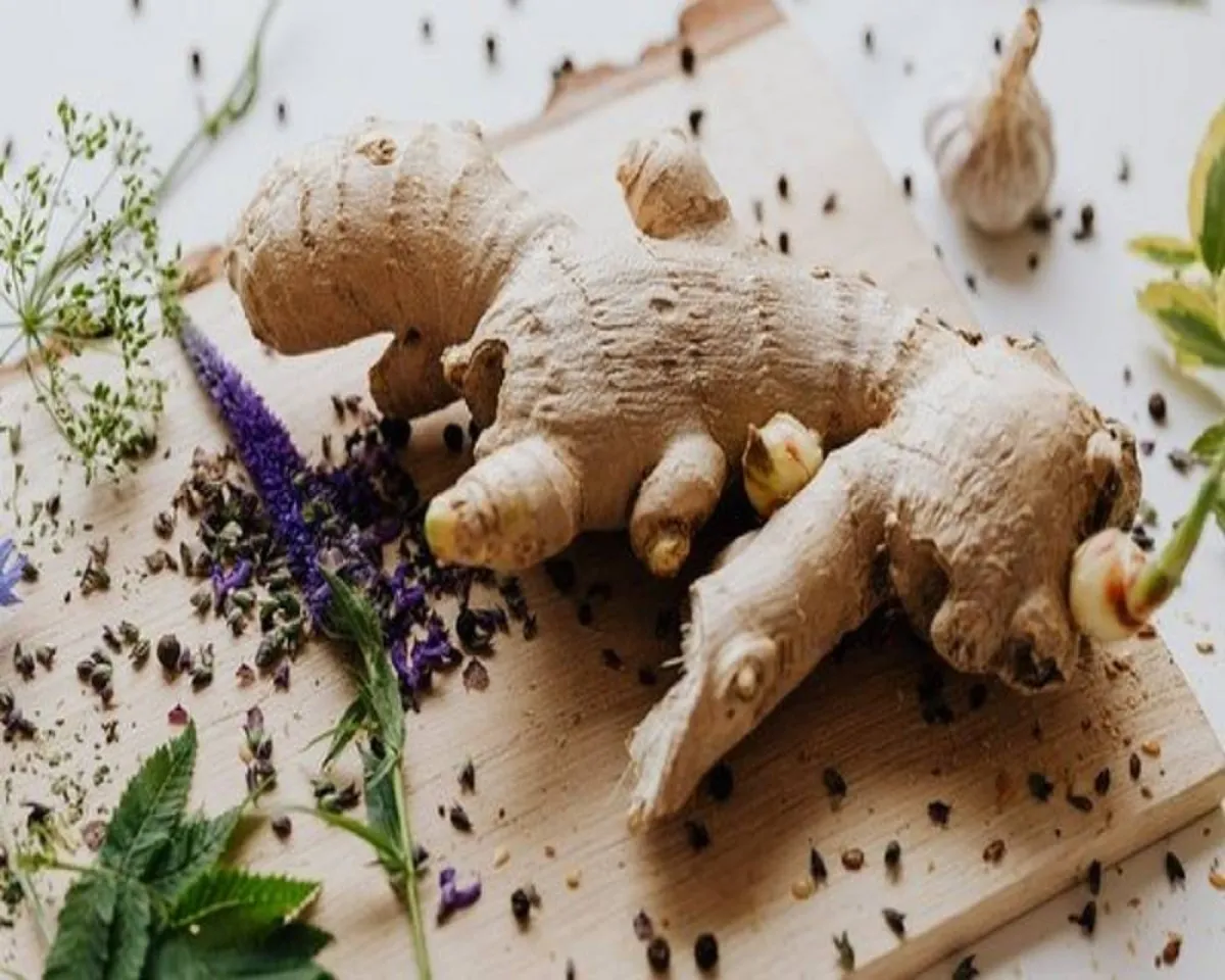 صورة لبعض جذور من الجنزبيل