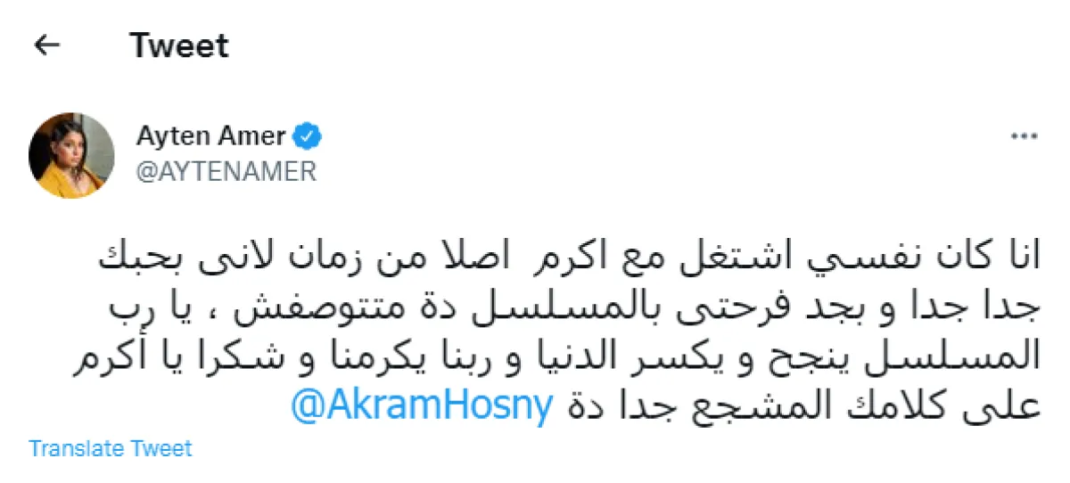 لقطة شاشة من الحساب الرسمي للفنانة آيتن عامر