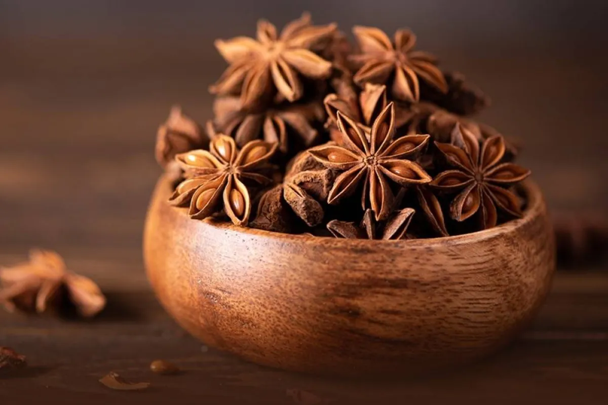 فوائد اليانسون النجمي للنساء