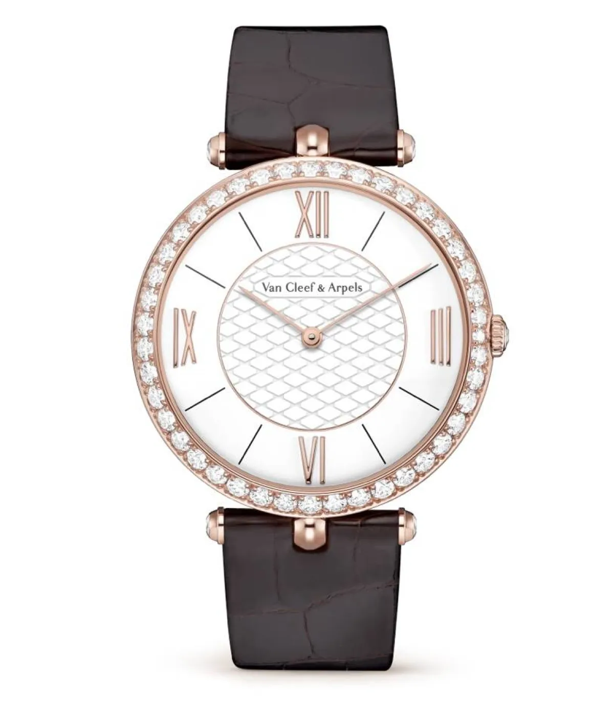 ساعة من الجلد