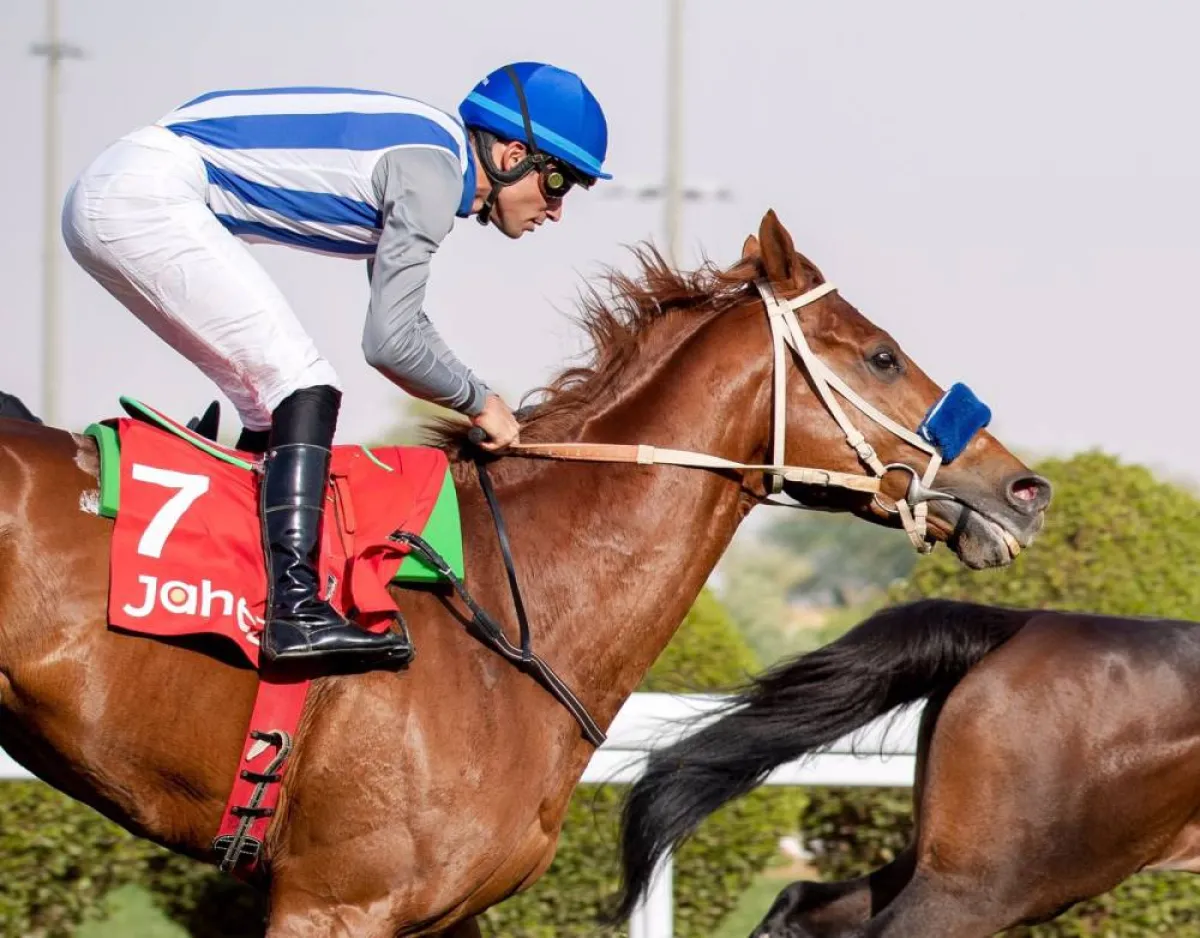 الجياد كاسبر ومشاركته في سباق دبي - الصورة من حساب كأس السعودية