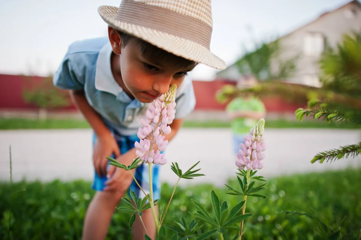 صورة لطفل يشم الوردة