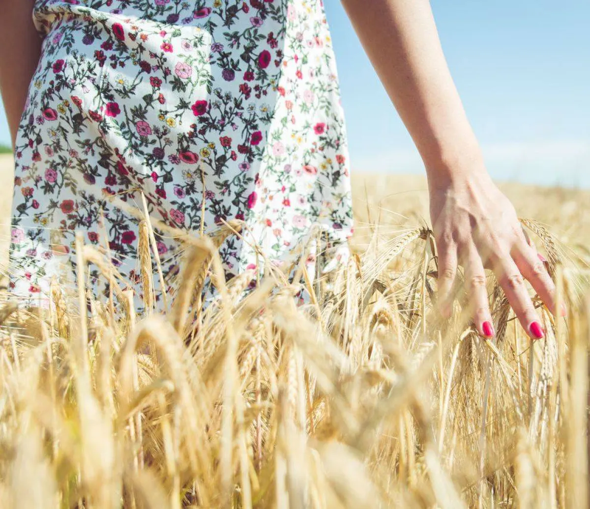 صورة الحامل تحت الشمس