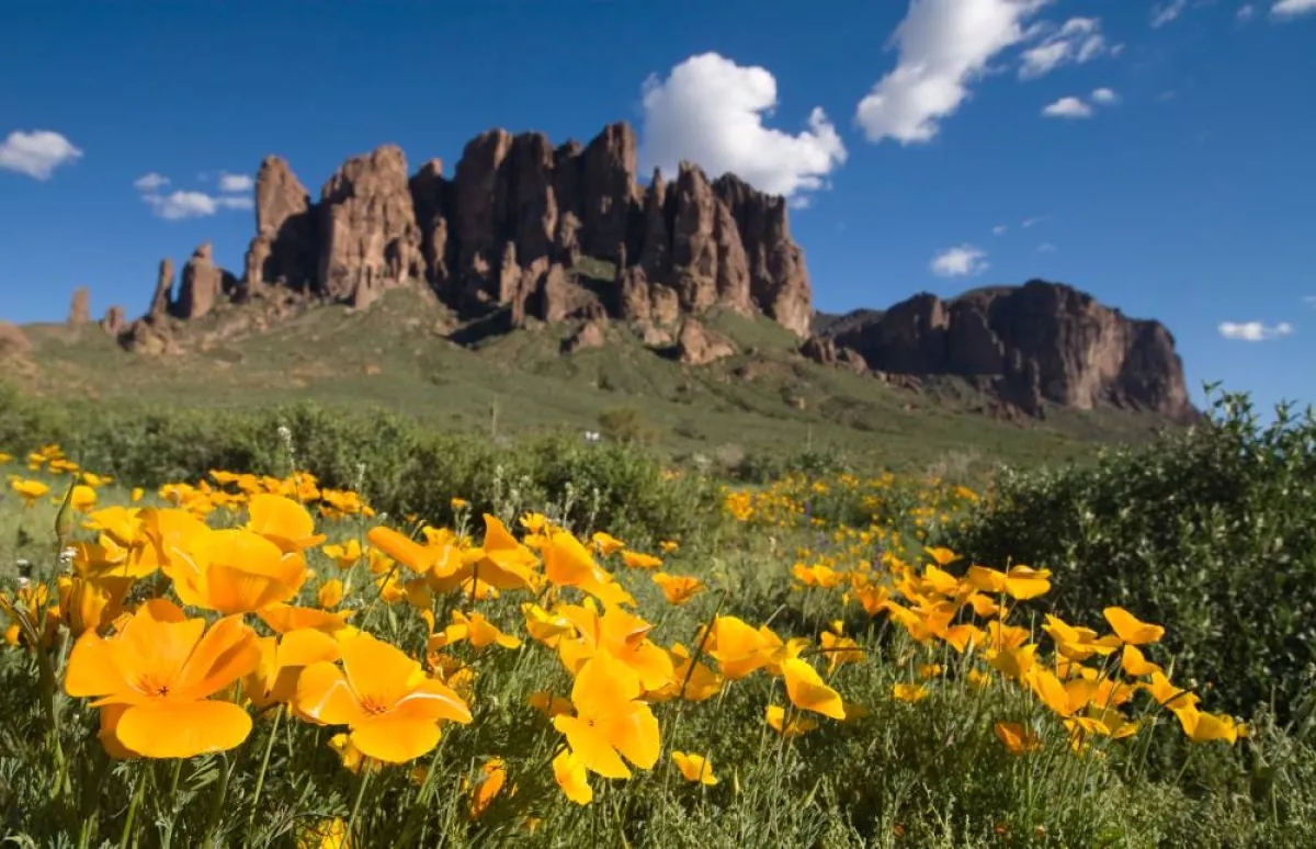 المكسيك لقضاء شهر العسل