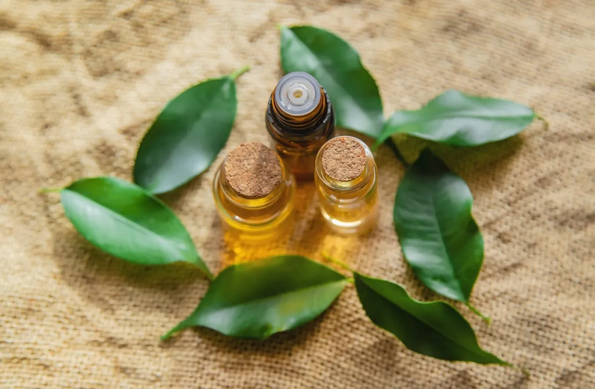 زيت العود للعناية بالبشرة