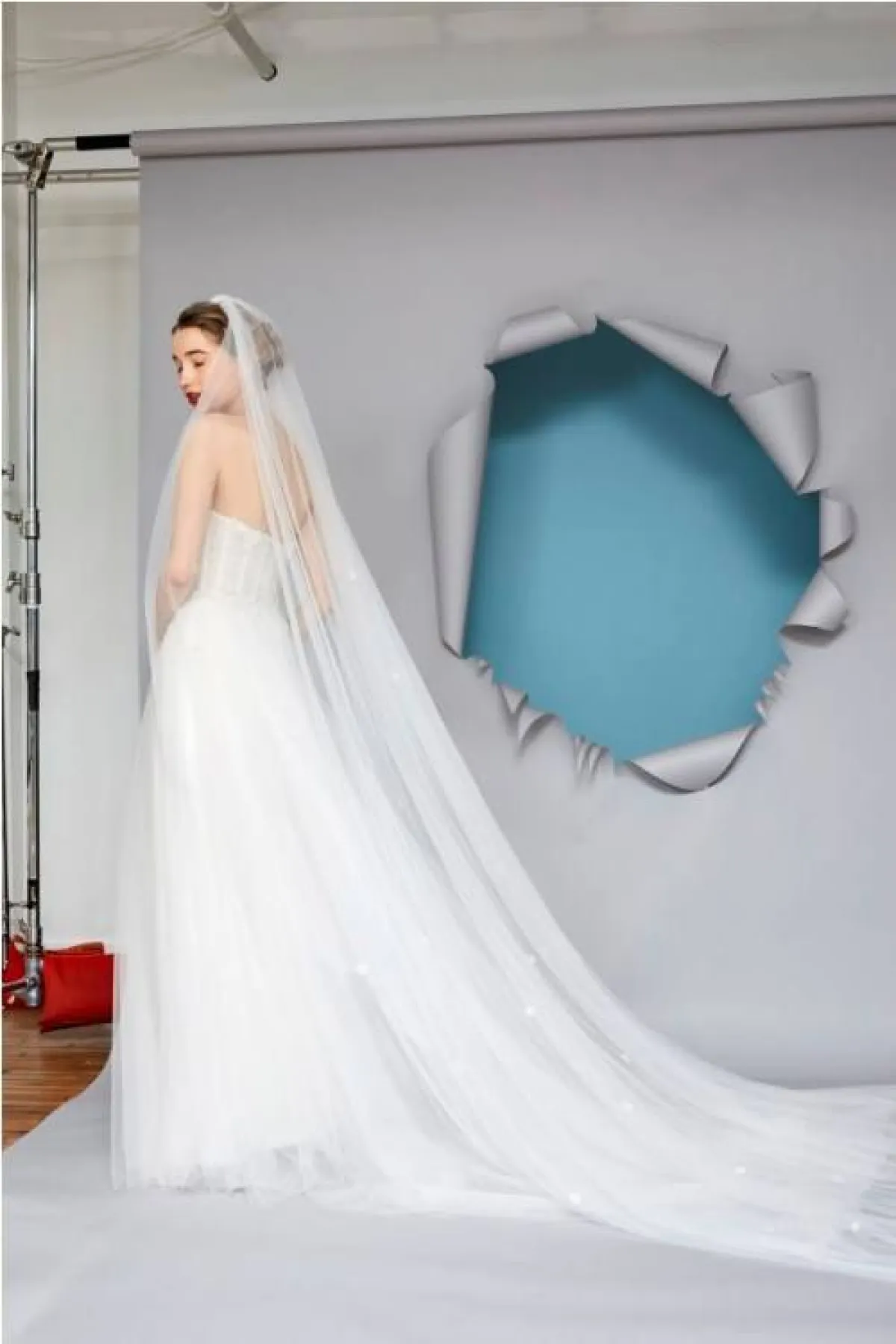 فستان زفاف بطرحة طويلة من غريسي عقاد  Gracy Accad