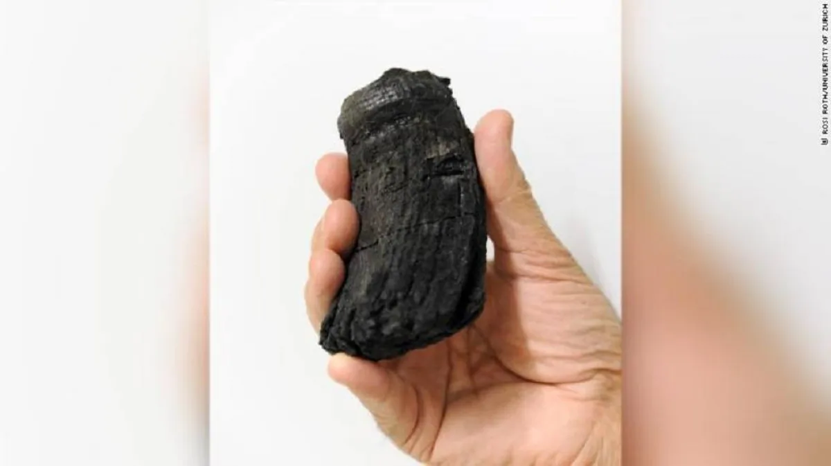 صورة حفرية لأكبر سن سحلية سمكية