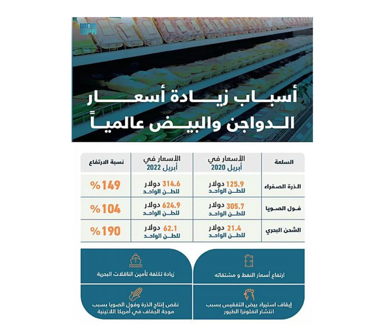 أسباب زيادة أسعار الدواجن - الصورة من واس