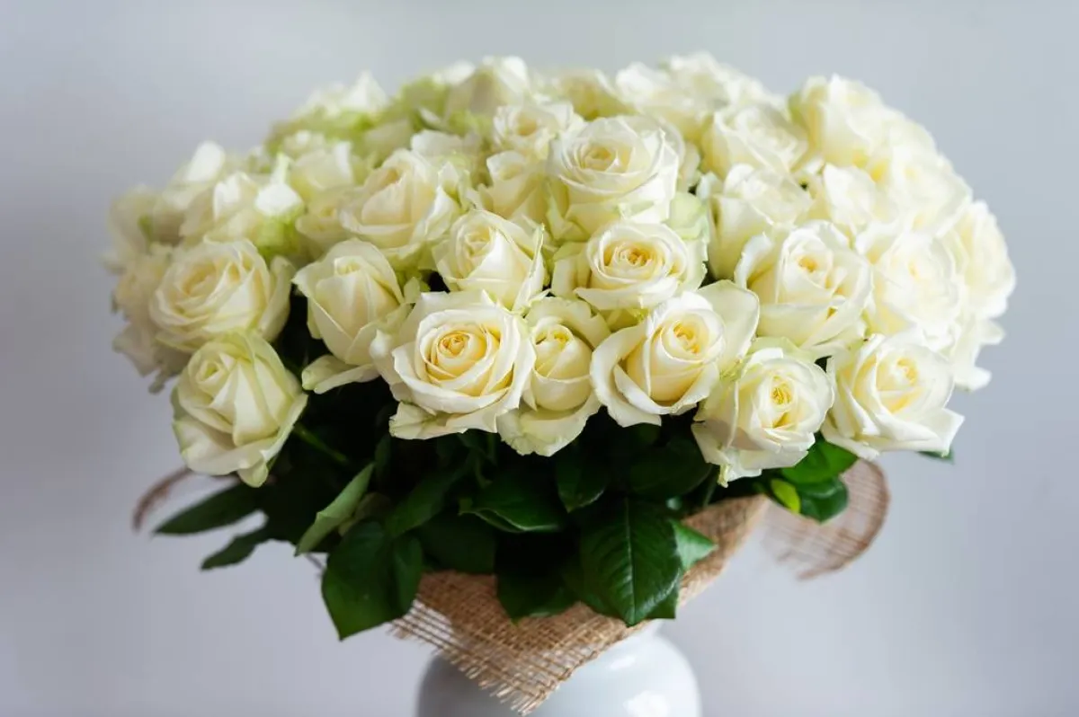 الورد الطبيعي الأبيض محبّب في التزيين