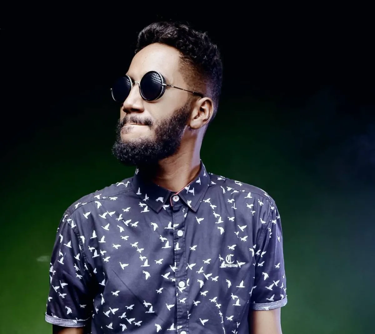 الفنان محمد دافنشي