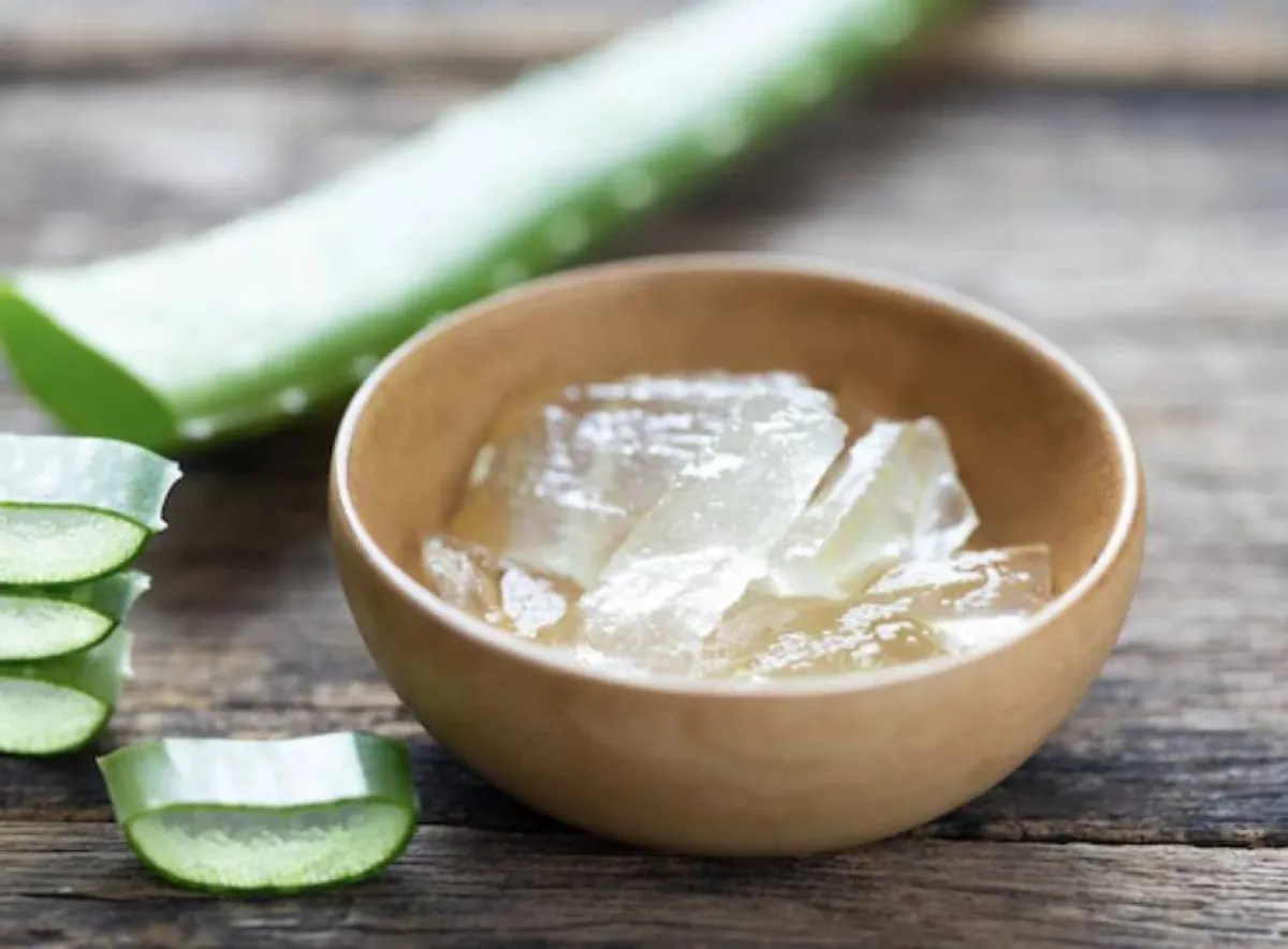 شامبو الصبار