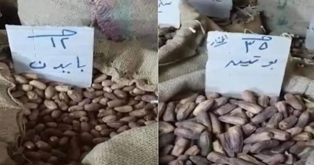 تمور بايدن وبوتن باسواق الساحل والعبور المصرية ضمن مستلزمات سفرة رمضان 