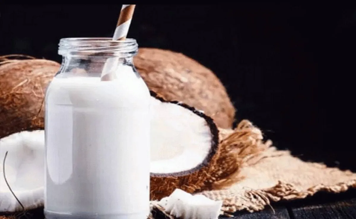 فوائد السوبيا للصحة مثالية خلال شهر رمضان