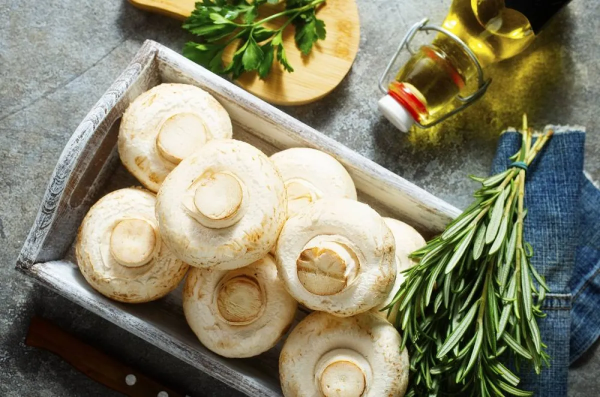 الفطر للبشرة