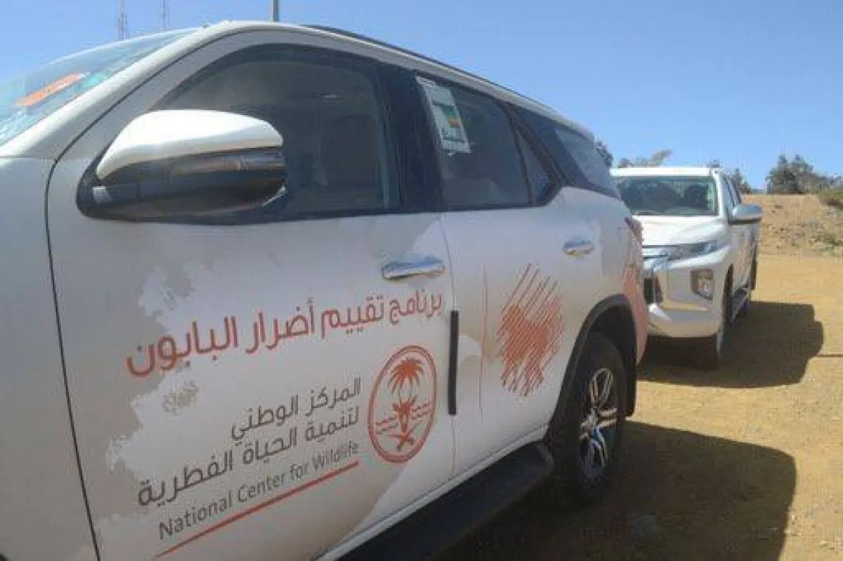 فرق ميدانية من الحياة الفطرية تبدأ مسح ميداني للمناطق المتضررة من قرود البابون