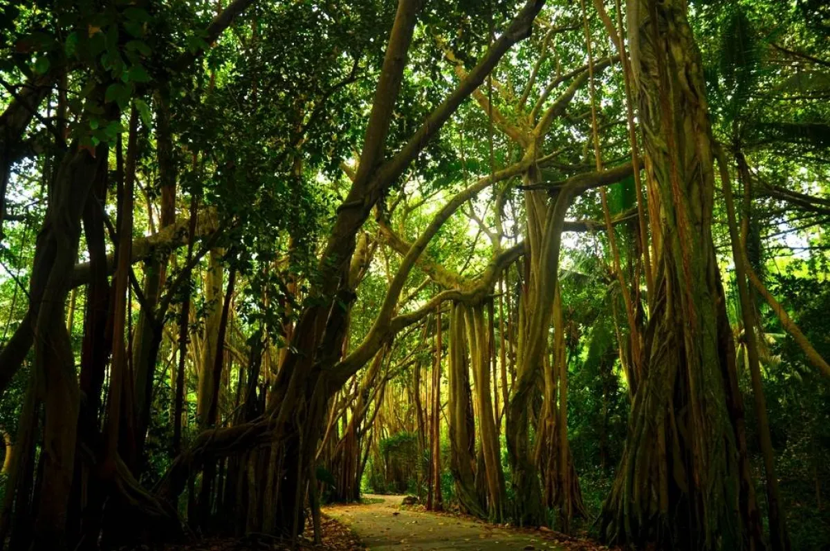 زيارة إلى جزيرة فريجاتي