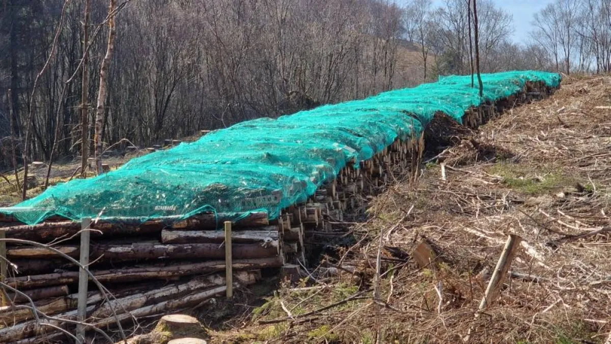 صورة لطريقة الحفاظ على البق والحشرات