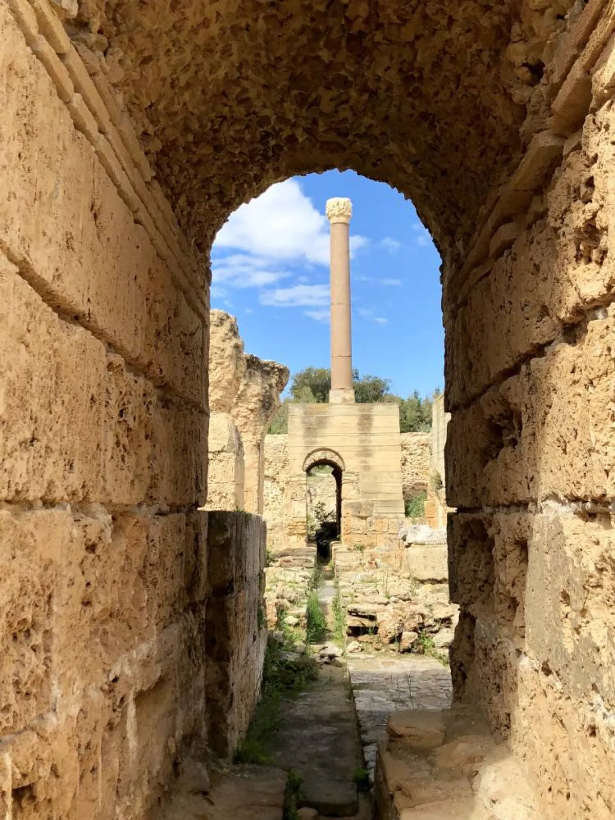 أطلال قرطاج