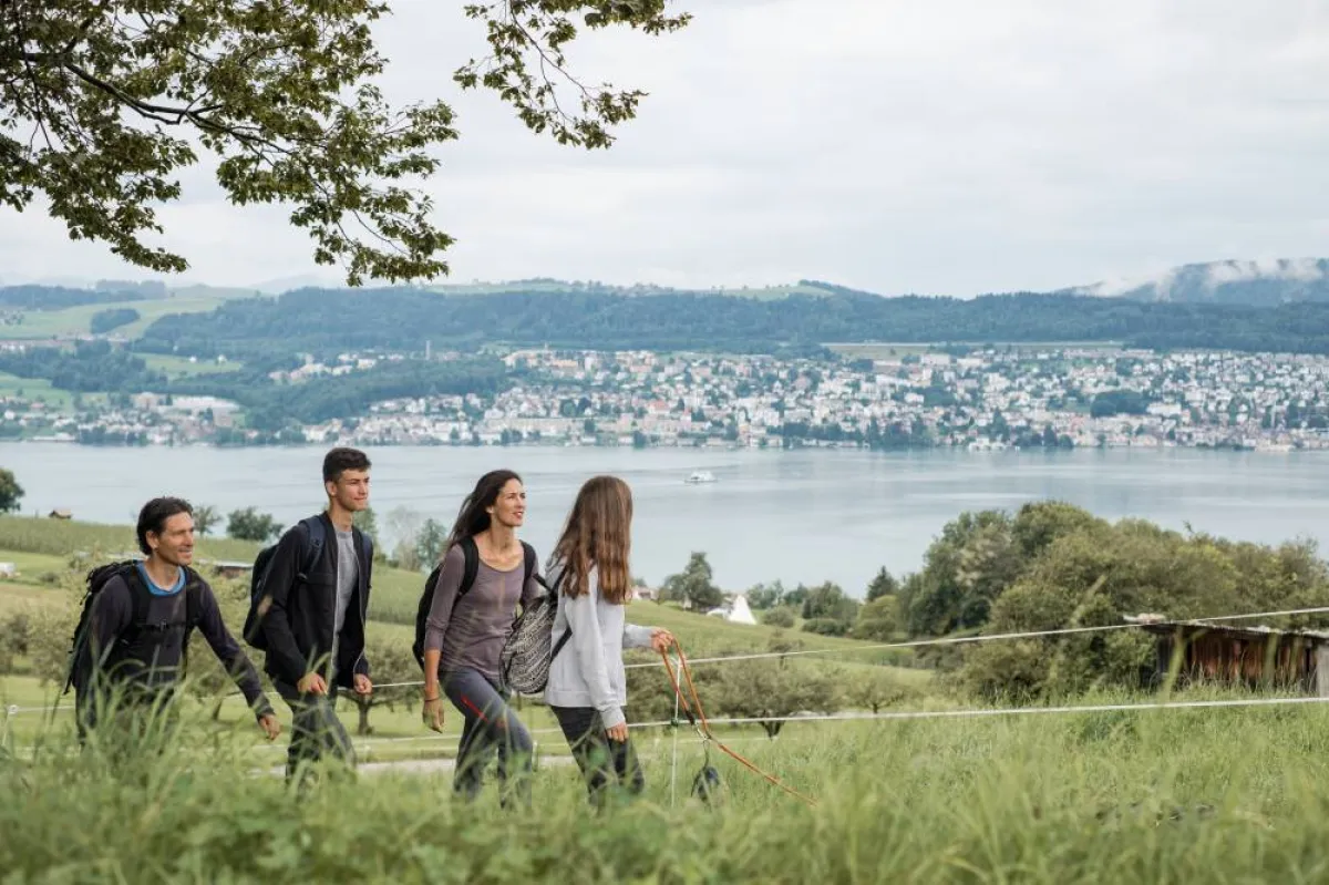 تيسينو السويسرية .. مقصد عشاق الطبيعة والتذوّق الرفيع