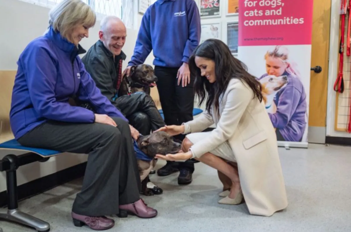 ميغان ماركل - الصورة من موقع The Mayhew